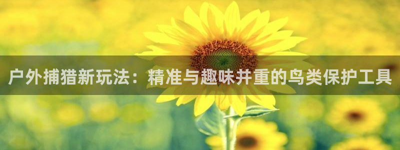 新宝gg登录新