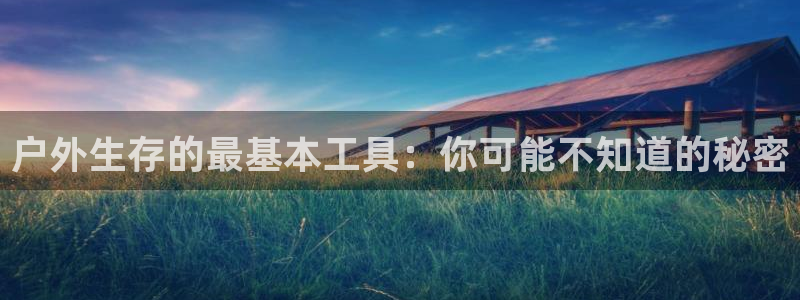 太阳gg和新宝gg