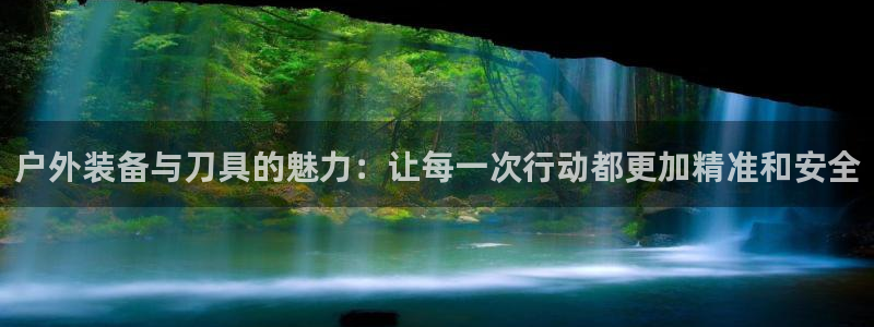 新宝 gg 下载