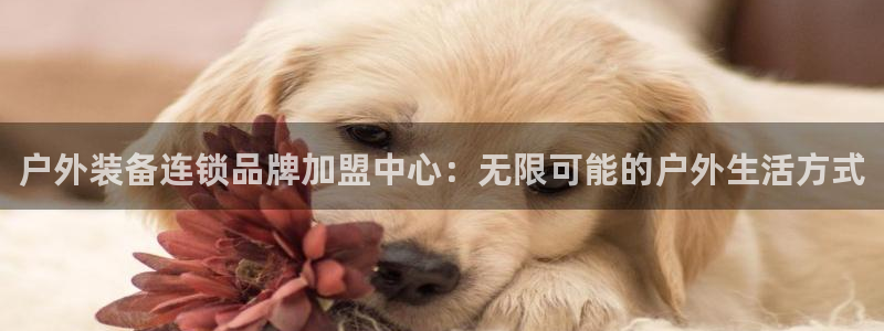 新宝GG管理