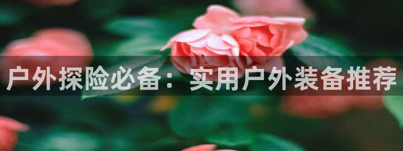 新宝gg套利