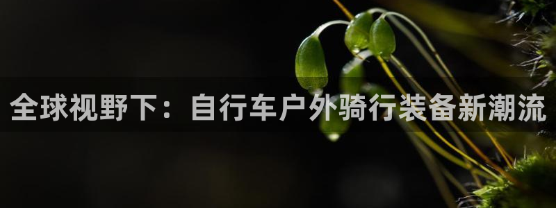 新宝GG管理