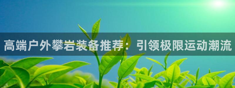 新宝gg dx-gg.cn