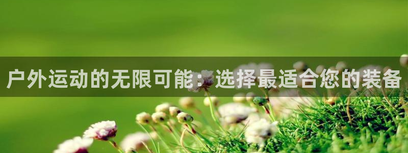 新宝gg网投