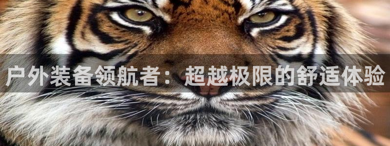 新宝GG苹果版