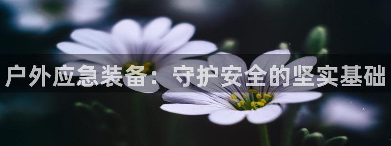 新宝gg漏洞