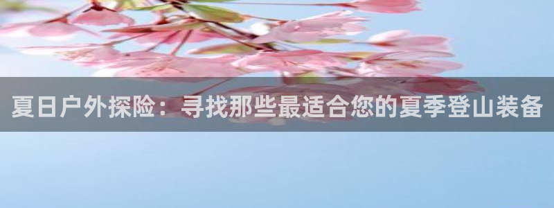 新宝gg总部