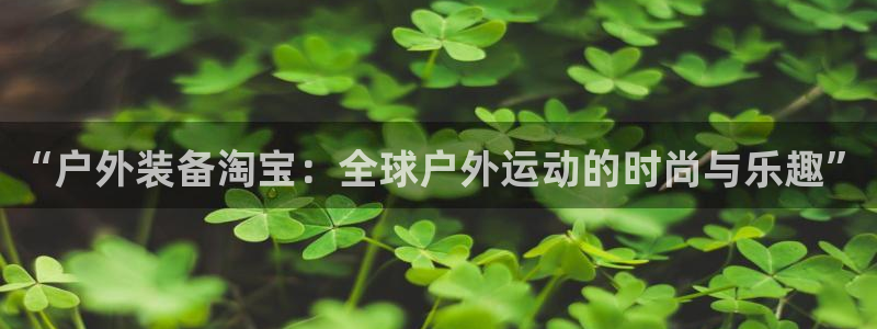 新宝gg盈亏