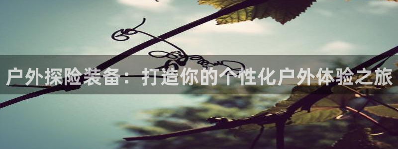 新宝GG网页