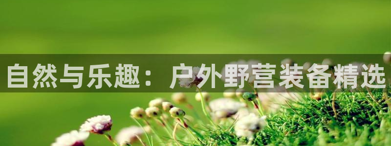 新宝gg样