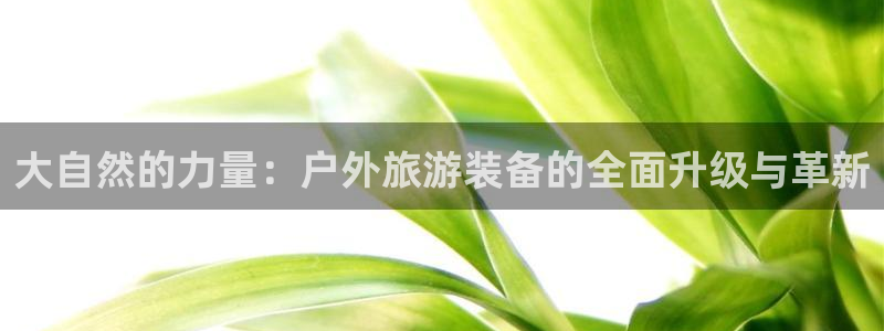 新宝gg主管、