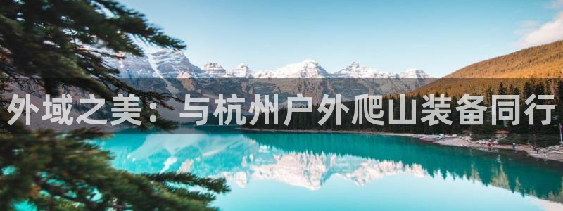 新宝gg主管_