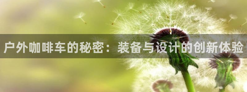 怎么代理新宝gg