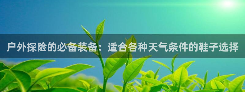 新宝gg充值