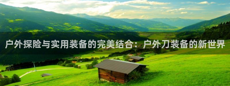新宝gg辅助