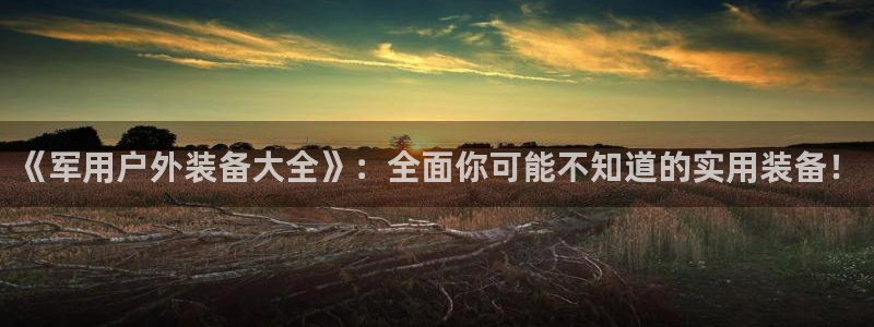 新宝gg登陆平台