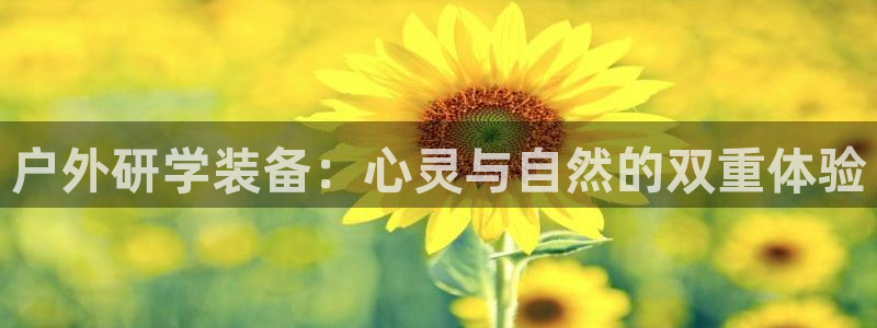 新宝gg ios下载