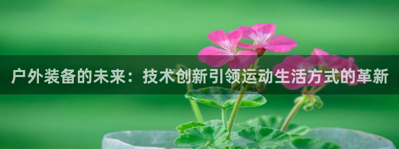 新宝GG娱乐下载