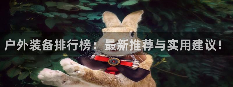 新宝GG上级