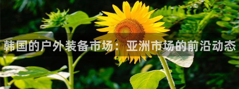 新宝gg主管weibo