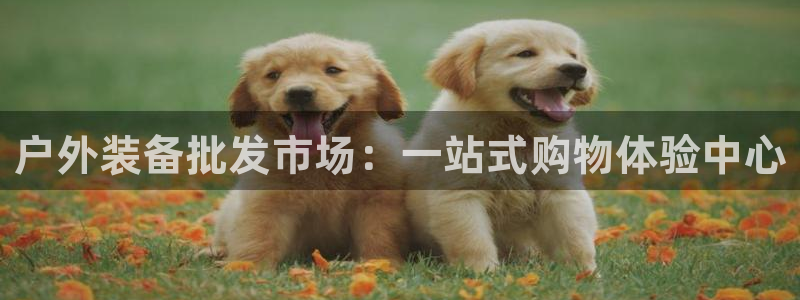 新宝gg 彩票