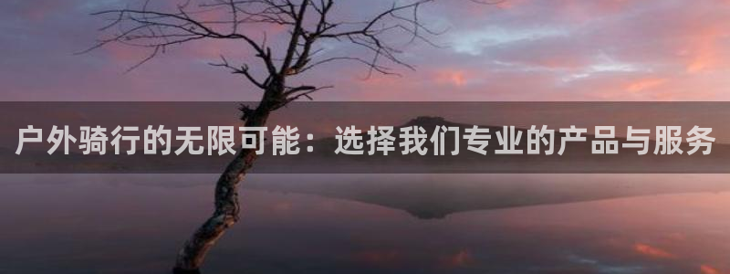 新宝gg客户端下载