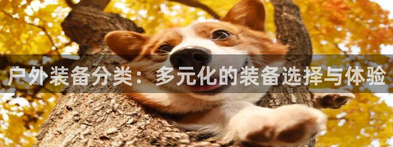 新宝gg娱乐