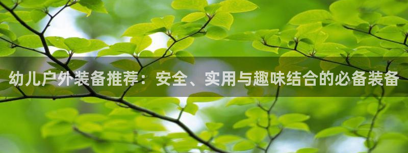 新宝gg老板