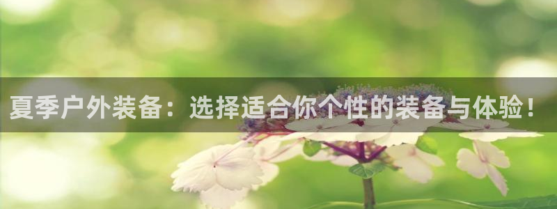 新宝奇迹GG