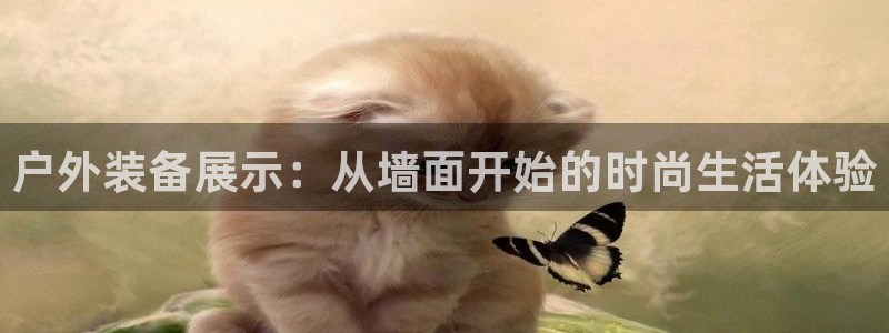 新宝gg娱乐-上鼎狐网