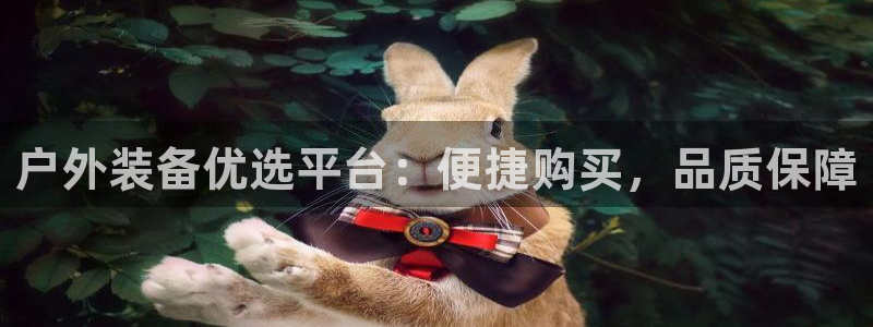 新宝gg_