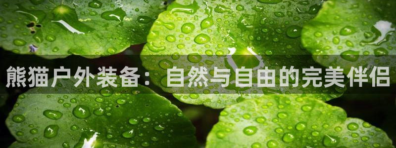 l新宝gg