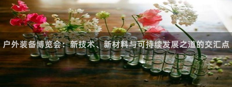 新宝gg登陆