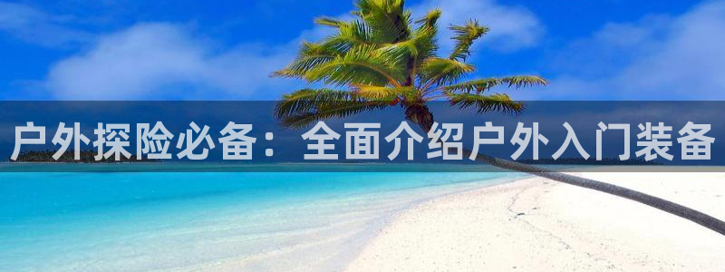 新宝gg平台反水