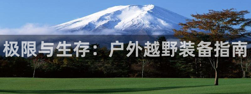 新宝gg娱乐平台