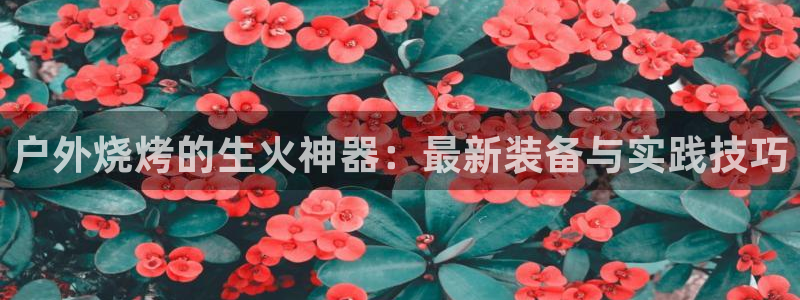 新宝gg-创业奇迹