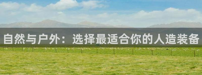 新宝Gg测速地址