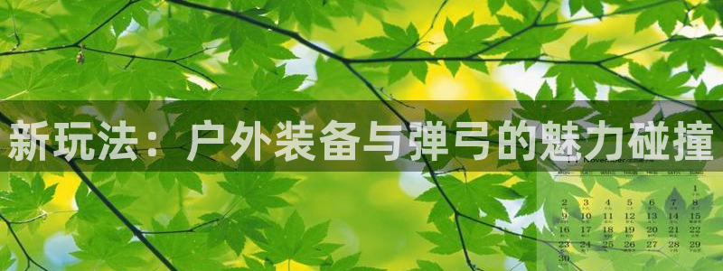 新宝彩票gg