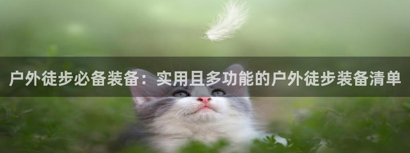 新宝gg试玩