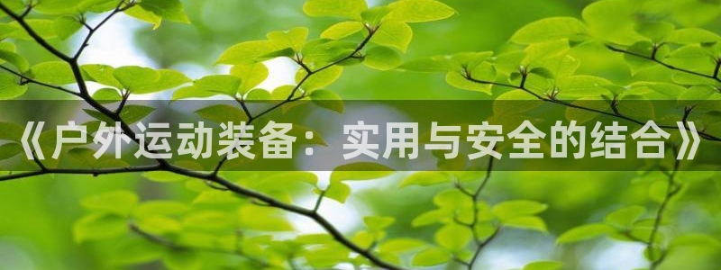 新宝GG上级