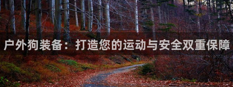 新宝gg信息
