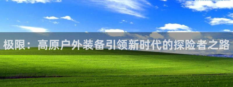 新宝gg有规律么