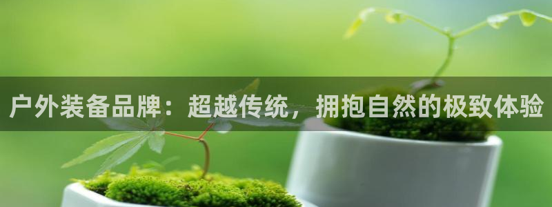 网站新宝GG