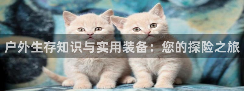 新宝gg dengludizhi