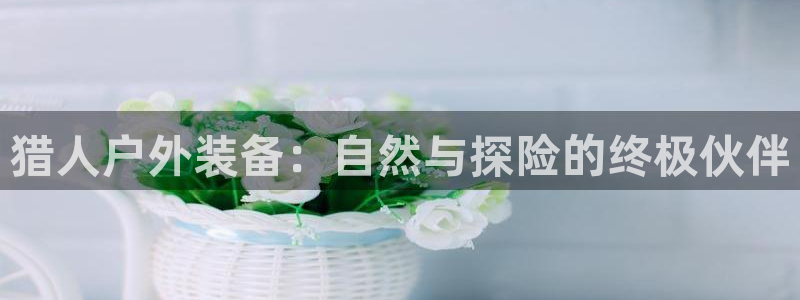 新宝gg创造奇迹下载