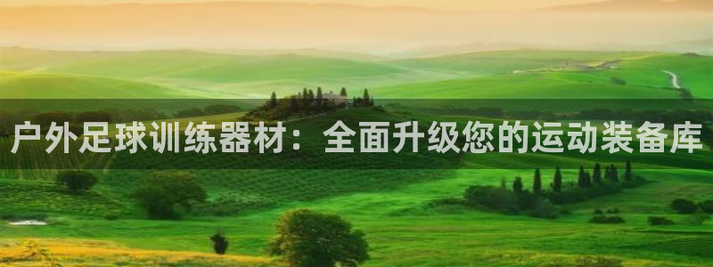 新宝gg试玩