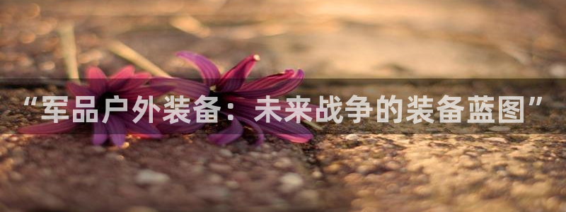 新宝GG无法充值