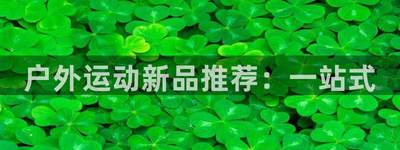 新宝gg作弊