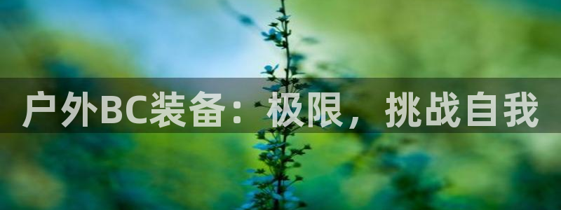 新宝gg主管花木兰