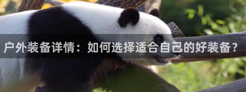 创造奇迹 新宝gg